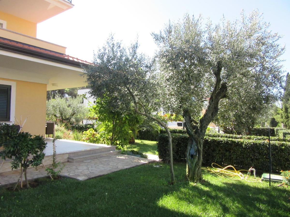 Villa Ema Rovinj Bagian luar foto