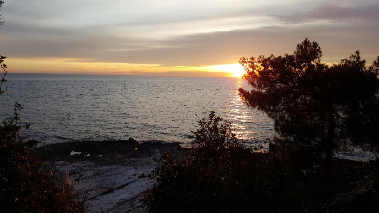Villa Ema Rovinj Bagian luar foto